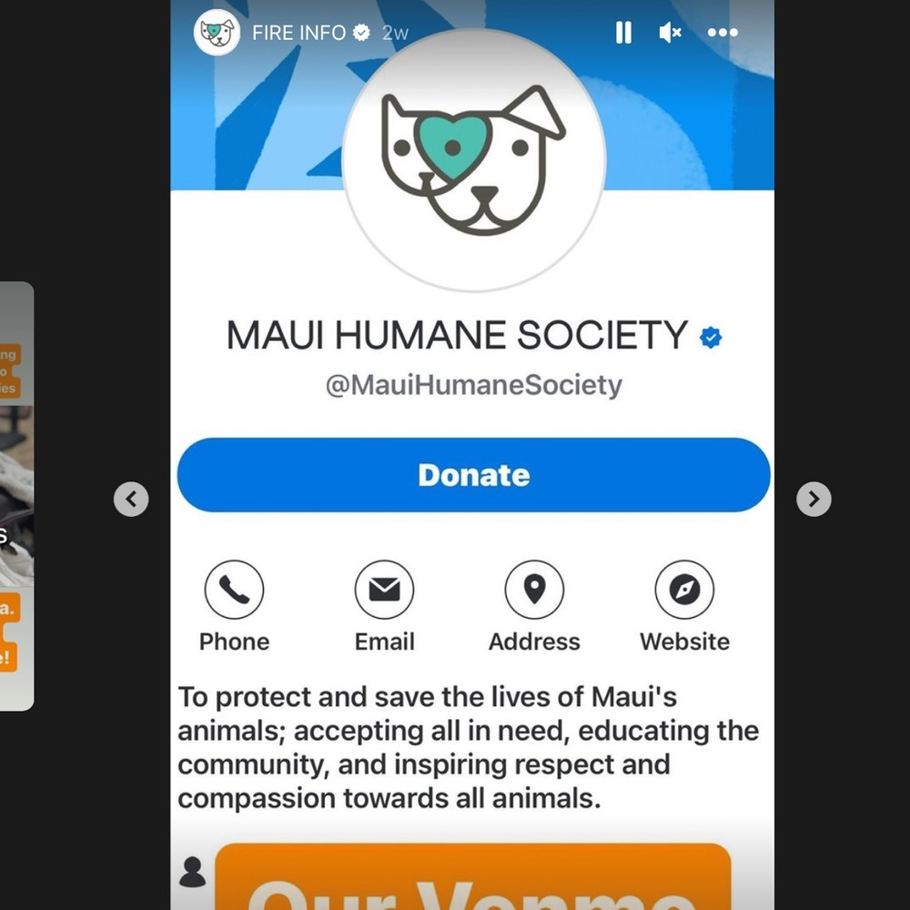 Lahaina 🐈🐴🐇🐾🐶🐎🦮🐾🐈⬛🐓🐰Rescued Lahaina Animals - Picture 13 of 14